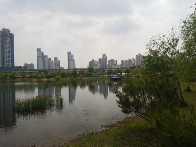 上洞湖公園の風景